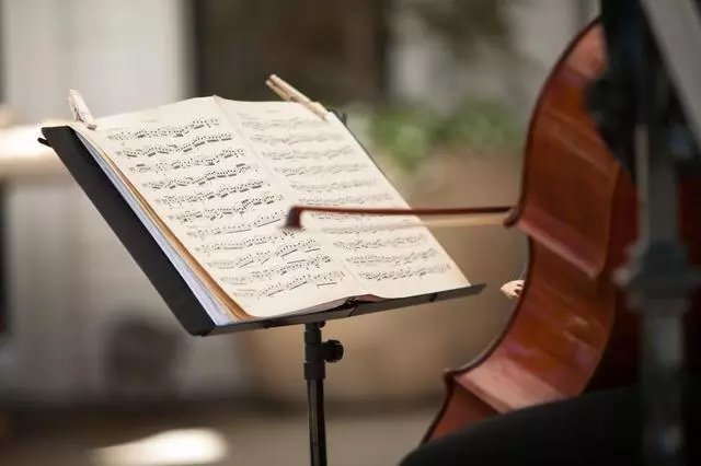 Aleron Strings