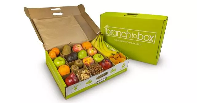 Branch to Box
