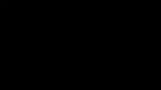 Antrix Entertainment Inc