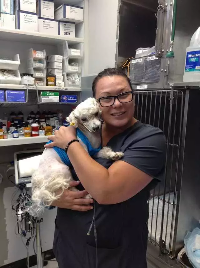 Animal Internal Medicine & Specialty Services