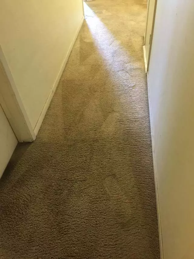 A & S Chem Dry Carpet Cleaning