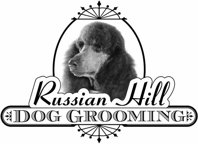 Russian Hill Dog Grooming