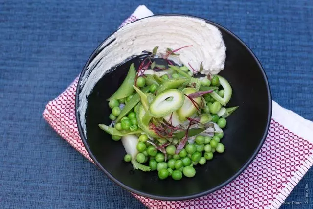 Blue Plate