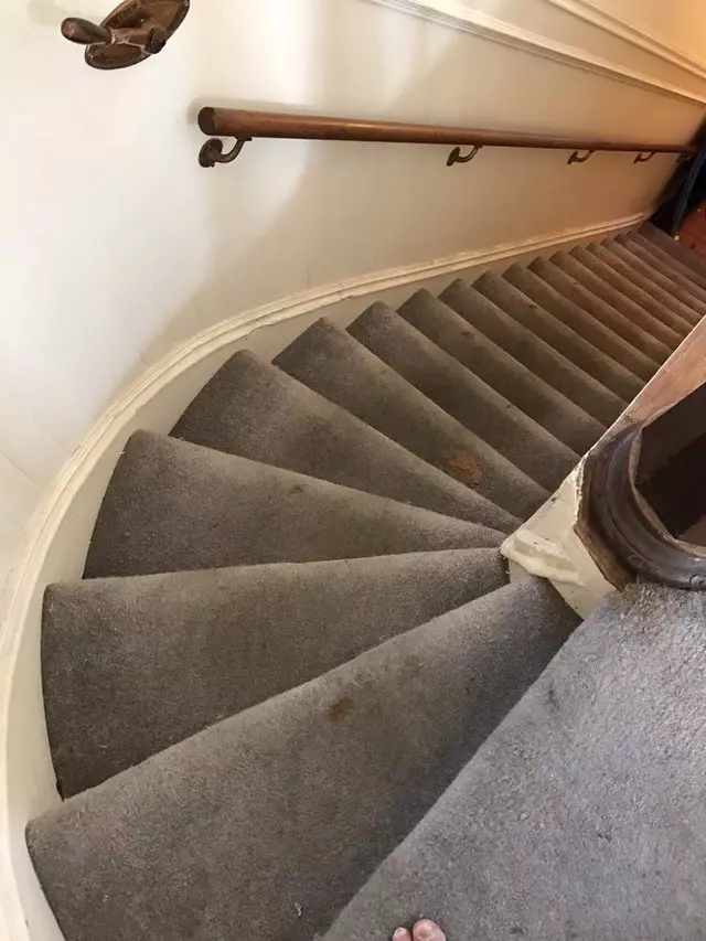 All Green Carpet Clean