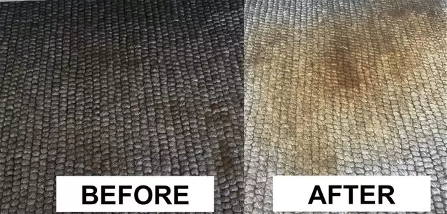 All Green Carpet Clean