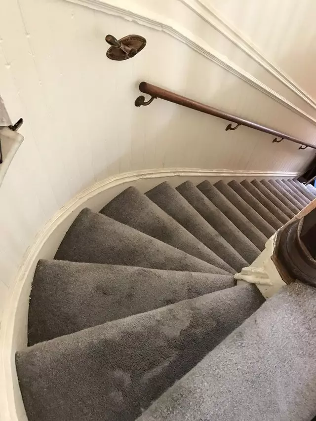 All Green Carpet Clean
