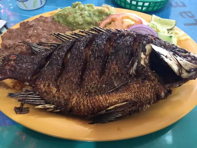 Taqueria Los Coyotes