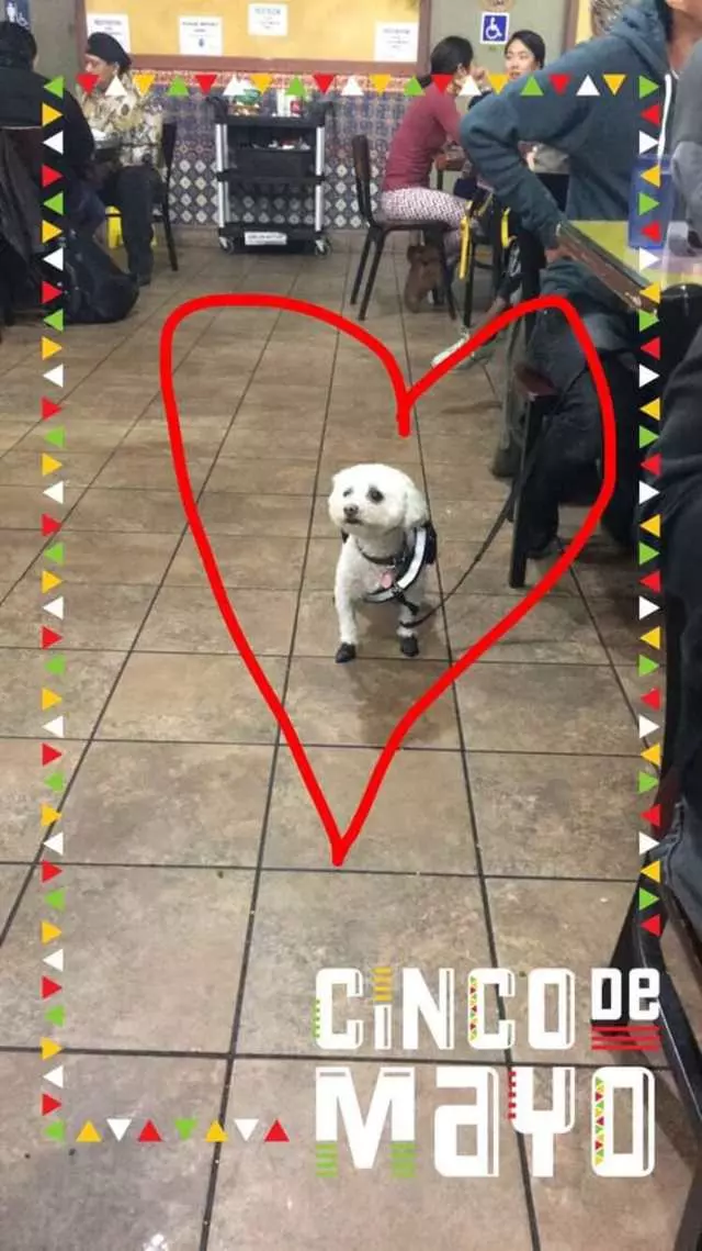 Taqueria Los Coyotes