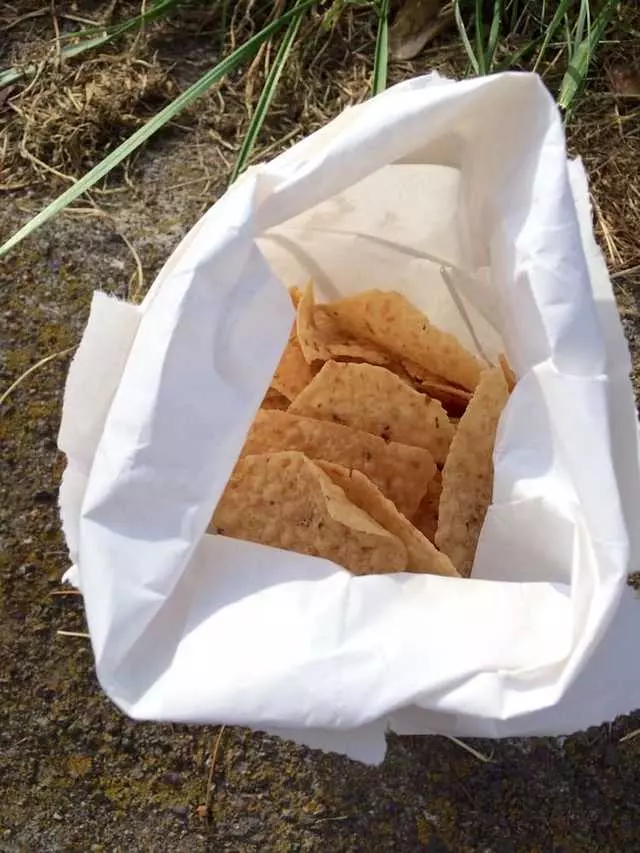Taqueria Los Coyotes