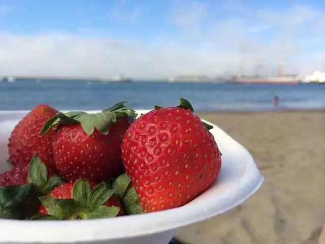 Aquatic Park