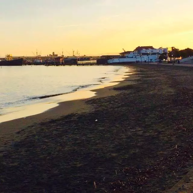 Aquatic Park
