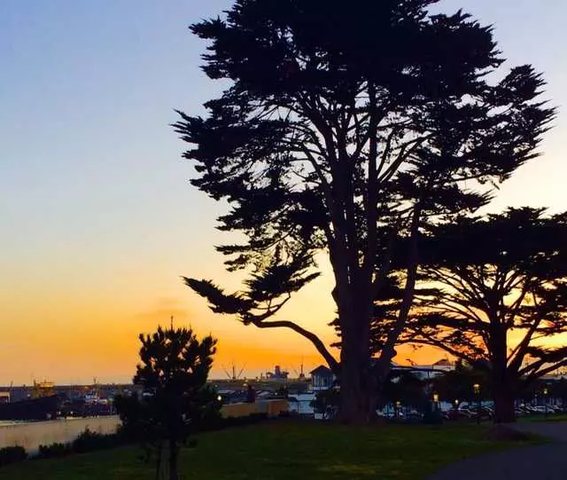Aquatic Park