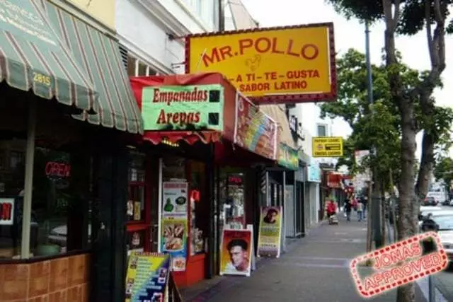 Mr Pollo