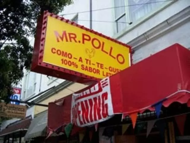 Mr Pollo
