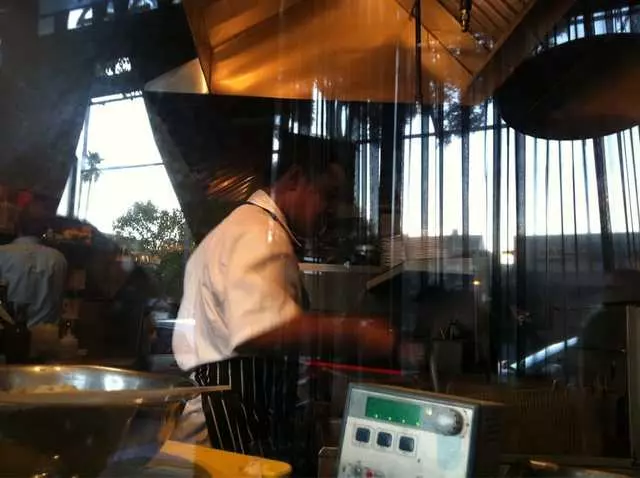 Mr Pollo