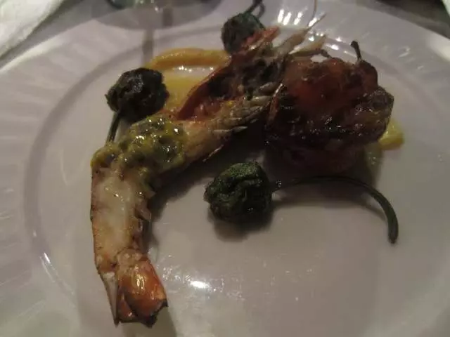 Mr Pollo