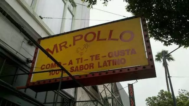 Mr Pollo