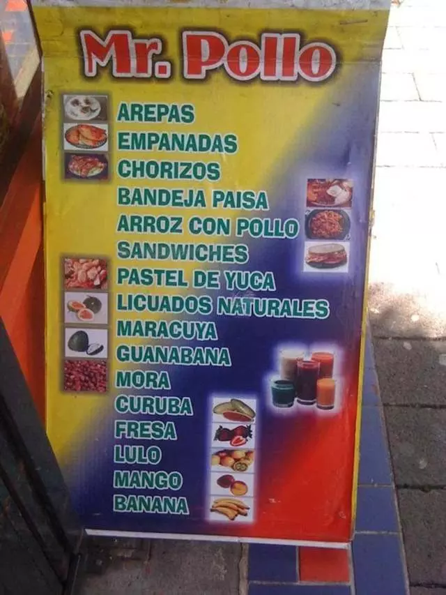 Mr Pollo