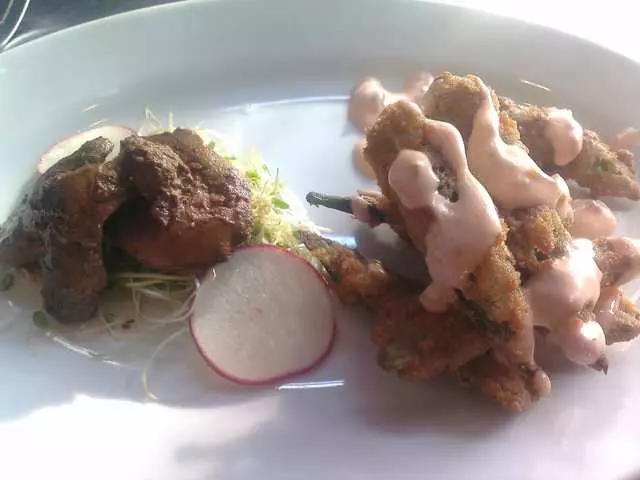 Mr Pollo