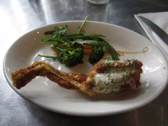 Mr Pollo