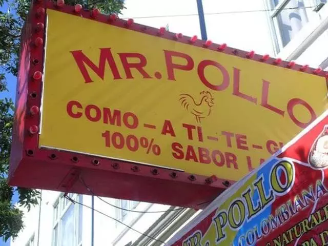 Mr Pollo