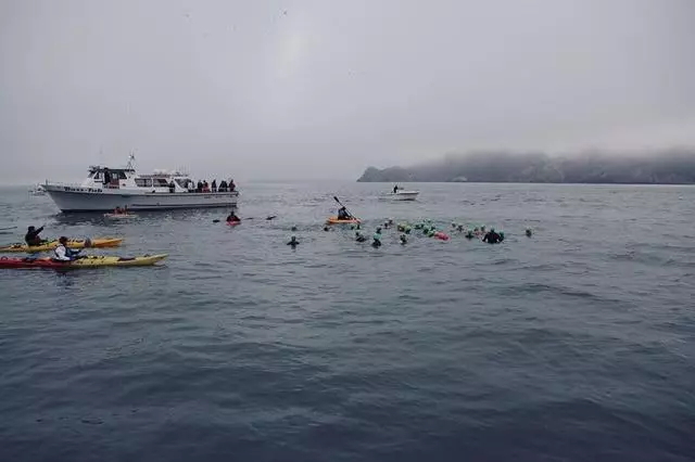 Water World Swim