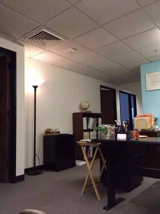 Bright Minds Institute