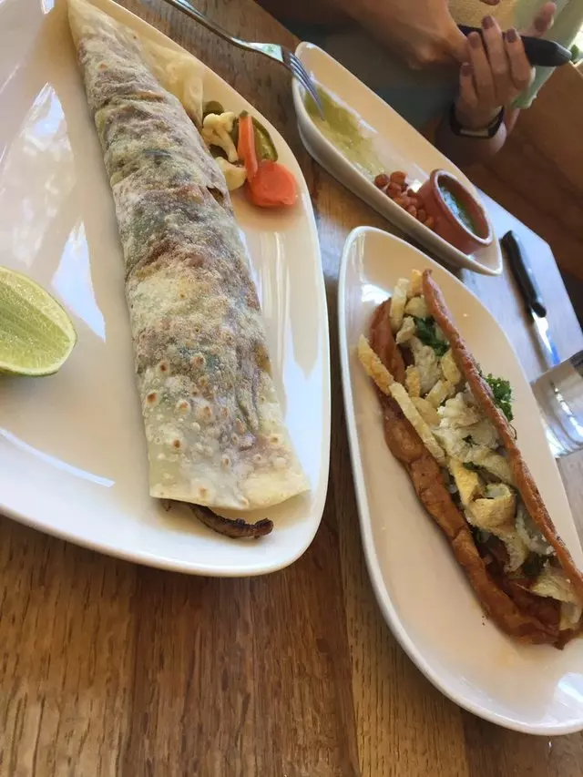 Nopalito