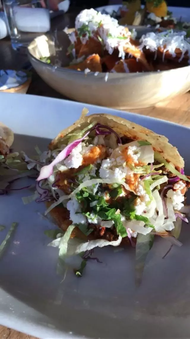 Nopalito