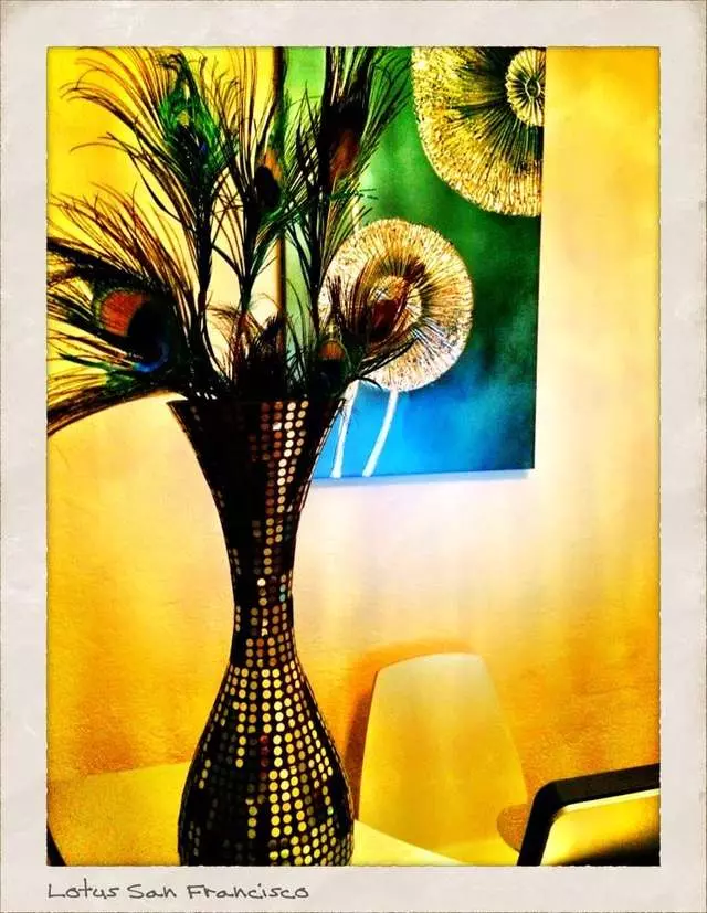 The Lotus Collaborative Eating Disorder Recovery Center