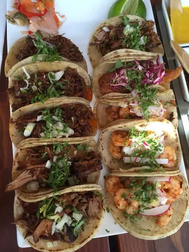 Tacolicious