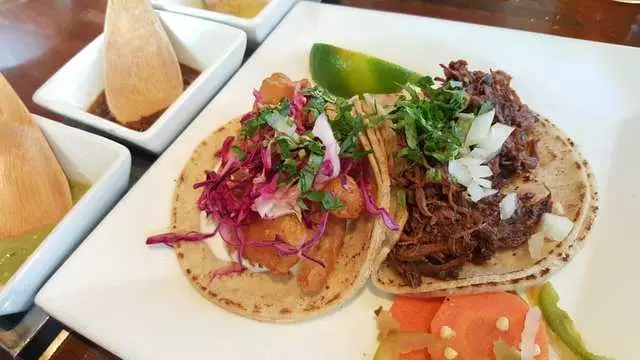 Tacolicious