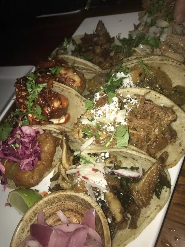 Tacolicious