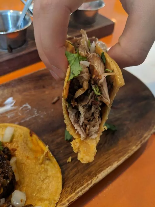Tacolicious