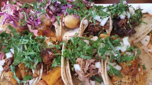 Tacolicious
