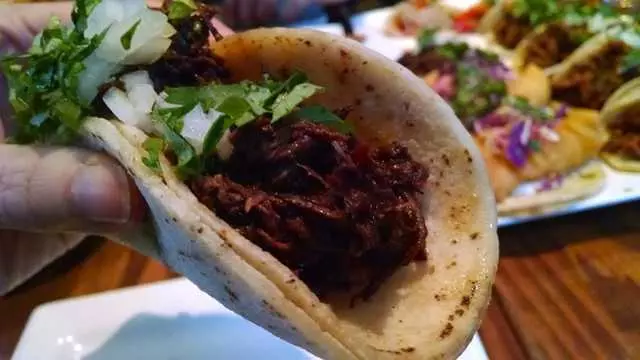 Tacolicious