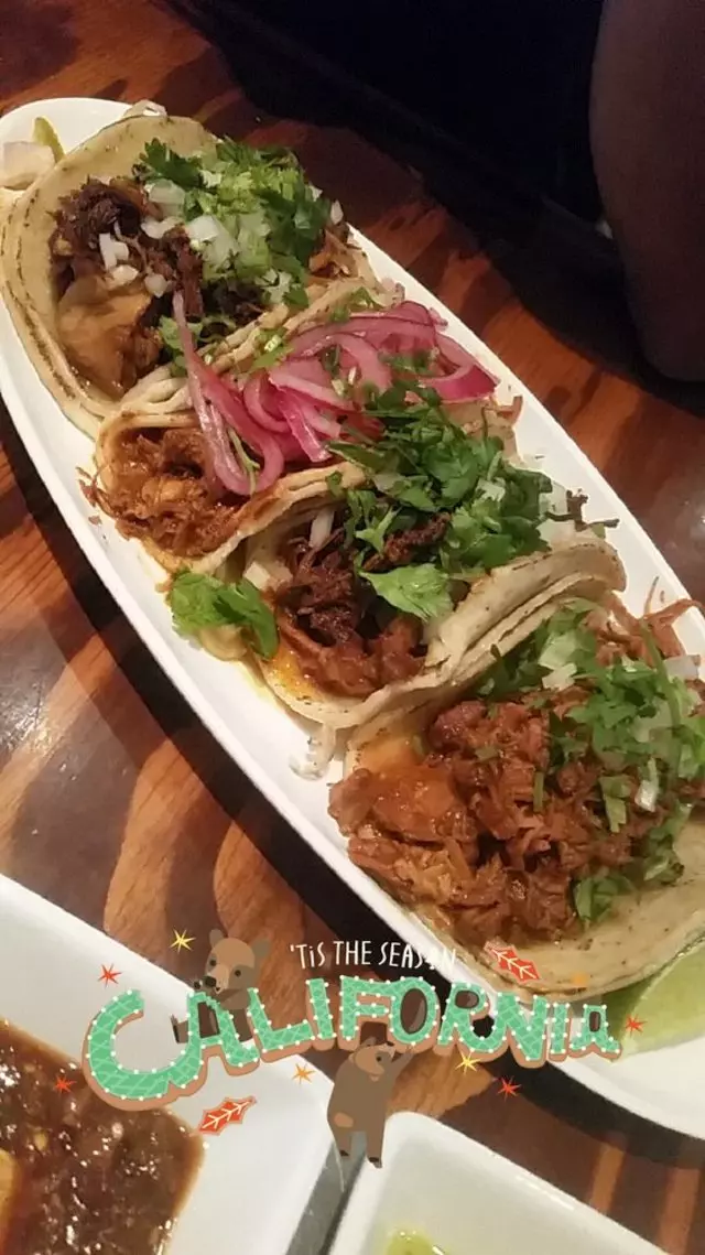 Tacolicious