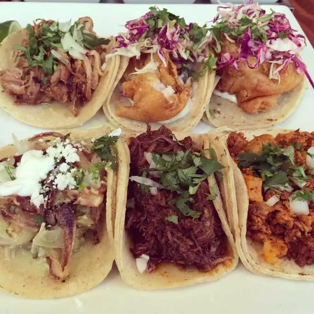 Tacolicious