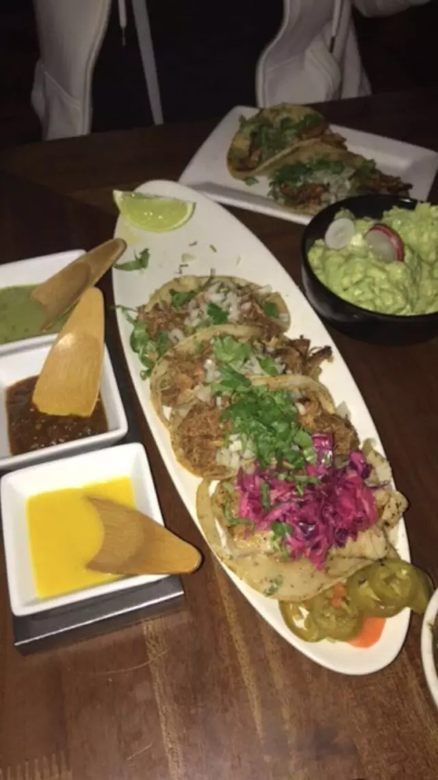Tacolicious