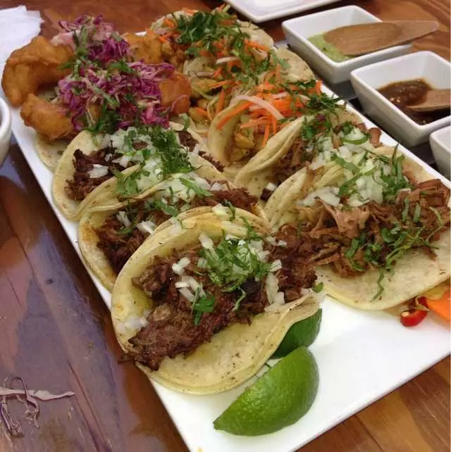 Tacolicious