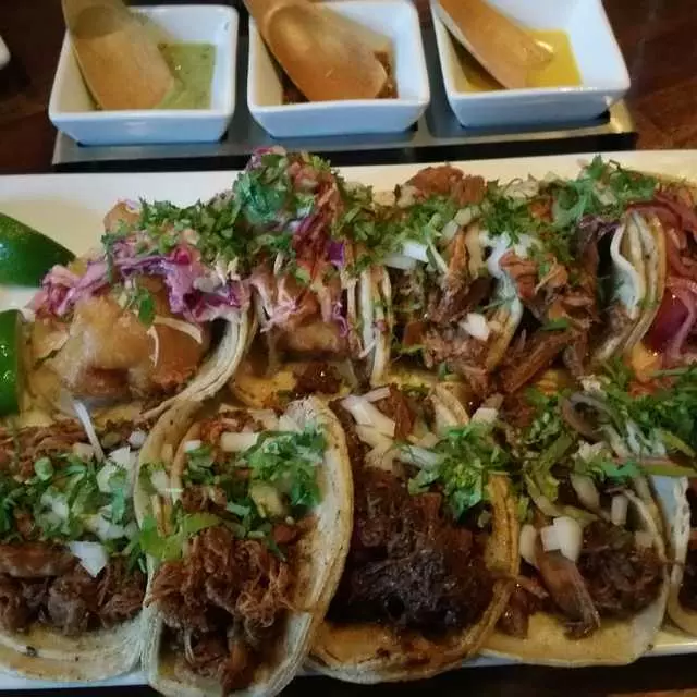 Tacolicious
