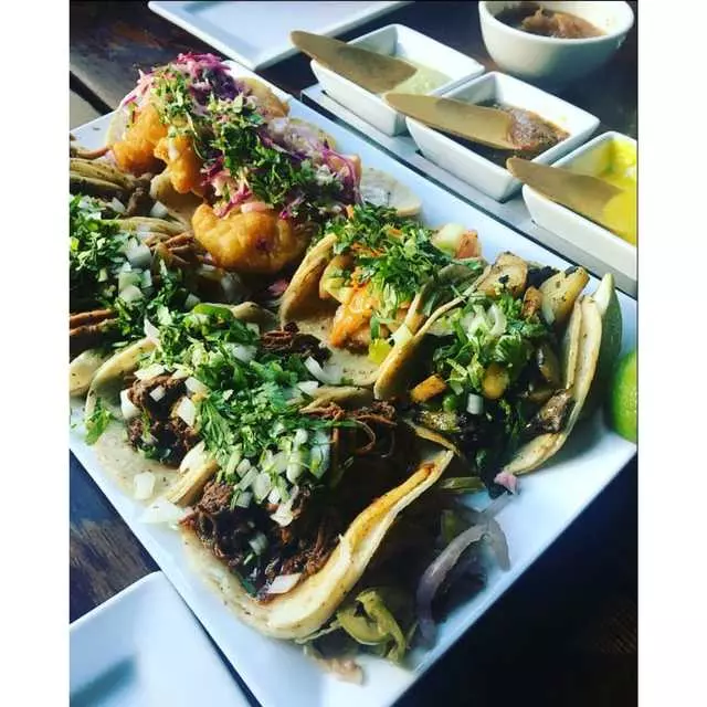 Tacolicious