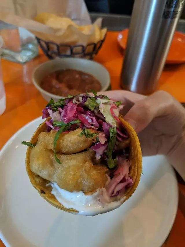 Tacolicious