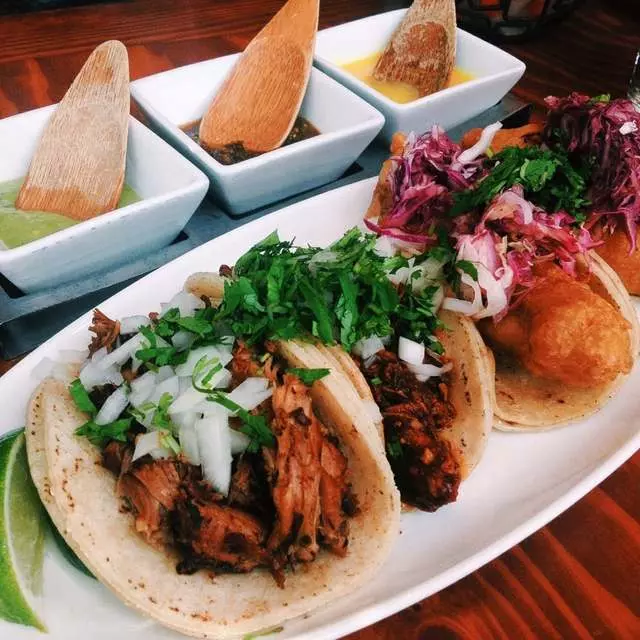 Tacolicious