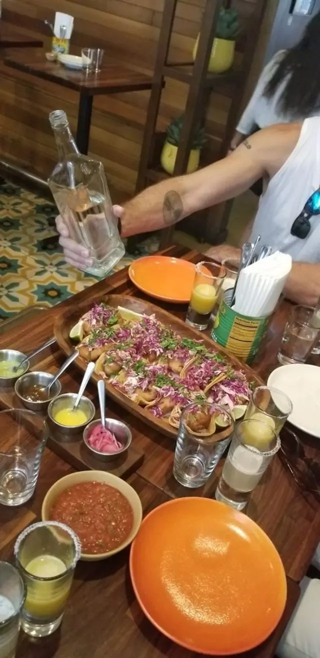 Tacolicious