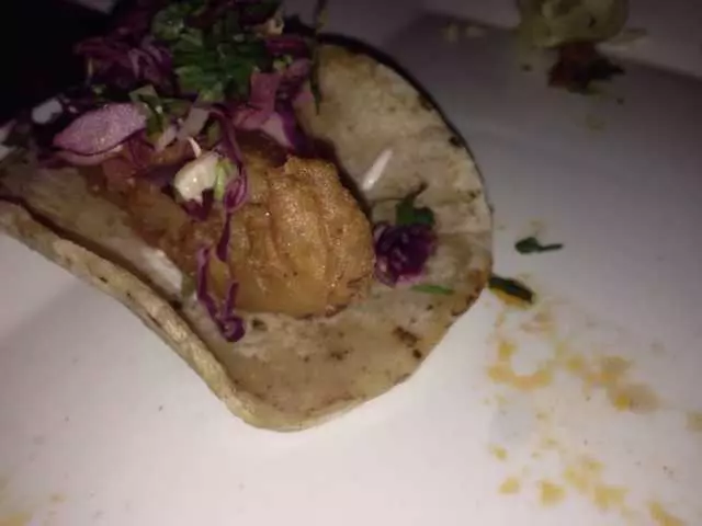 Tacolicious
