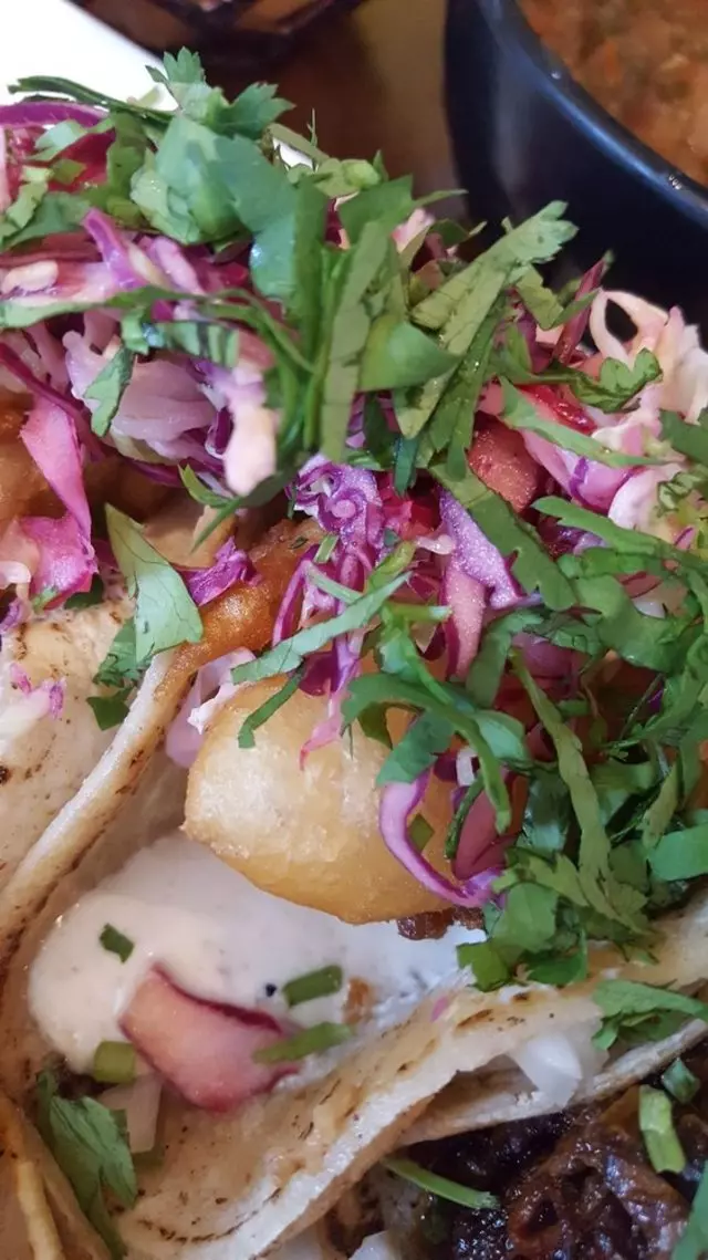 Tacolicious