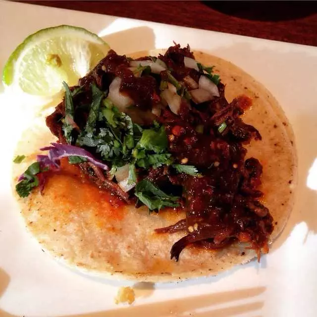 Tacolicious