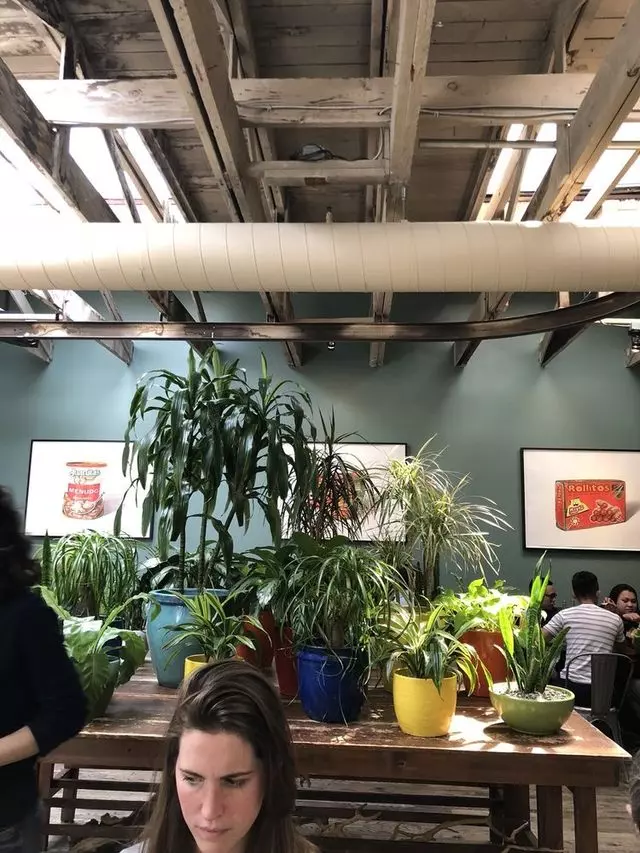 Tacolicious
