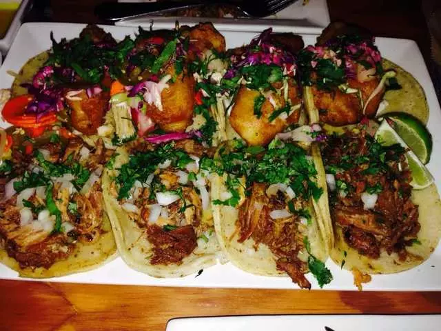 Tacolicious
